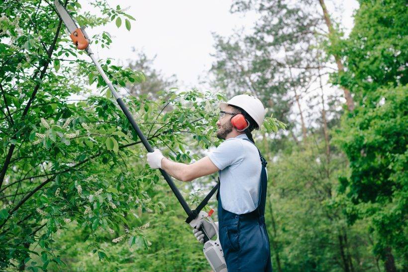 gardener in helmet and overalls trimming trees with telescopic pole saw in garden
