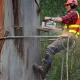 neighbor cut my tree without my permission How Much Does It Cost to Cut Down a Tree? (2026) 5 Professional arborists using ropes and rigging to cut down a large tree