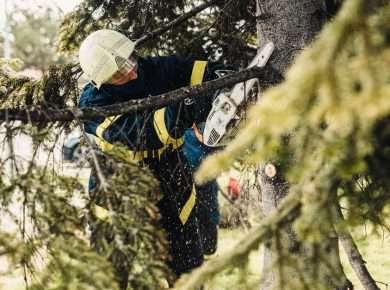 Professional arborist removing a tree in a residential yard