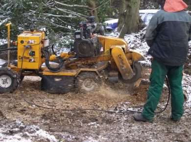 A stump grinder machine used to grind tree stumps
