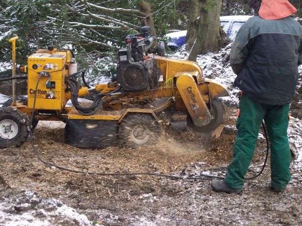 A stump grinder machine used to grind tree stumps