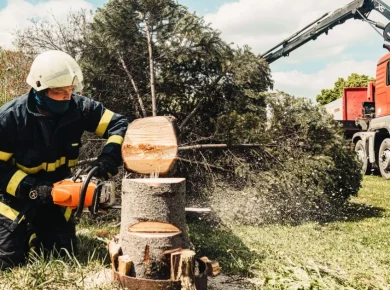 A firefighter uses a chainsaw to cut a tree stump while a truck assists in an outdoor setting.