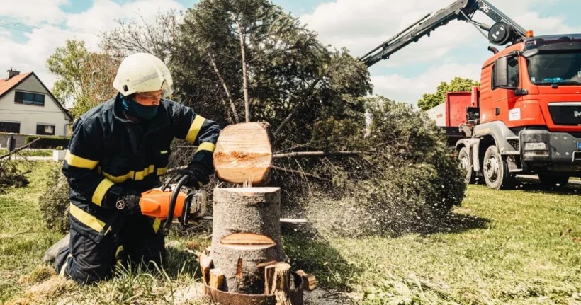 A firefighter uses a chainsaw to cut a tree stump while a truck assists in an outdoor setting.
