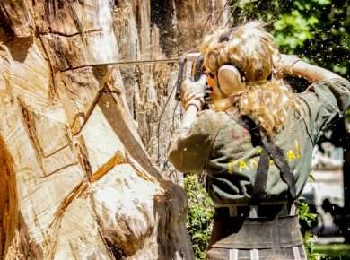 A skilled woman arborist cuts a large tree with a chainsaw outdoors, showcasing expertise in tree care.