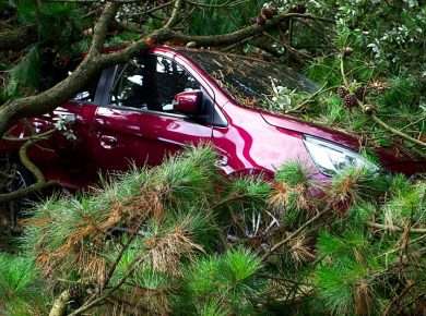 A red car trapped under fallen trees, showcasing the aftermath of a storm.