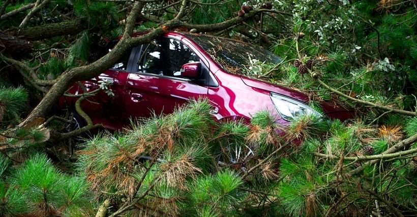 A red car trapped under fallen trees, showcasing the aftermath of a storm.