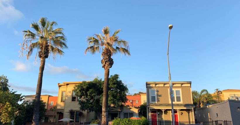 Low angle of tall palms growing near houses located along asphalt road with cars on roadside