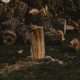 neighbor cut my tree without my permission What to Do If a Neighbor Cuts Your Tree Without Permission 5 Heap of cut wood with dry and rugged bark on lawn with sawdust in daylight