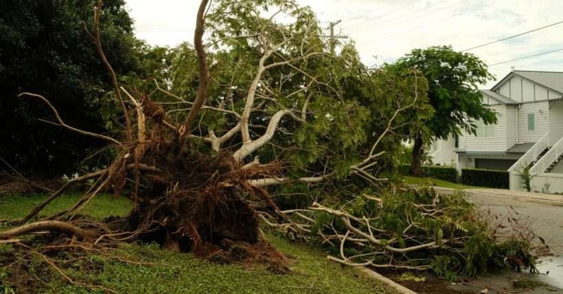 Tree fallen on a house roof after a storm