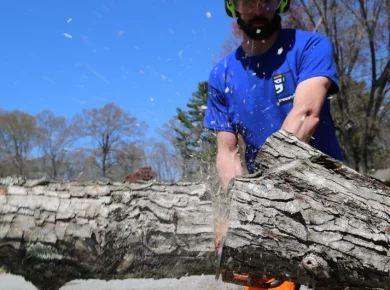 Professional arborist cutting and clearing a large tree trunk during a tree removal job