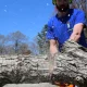 neighbor cut my tree without my permission Tree Removal Cost: 2026 Prices by Size and Job 5 Professional arborist cutting and clearing a large tree trunk during a tree removal job