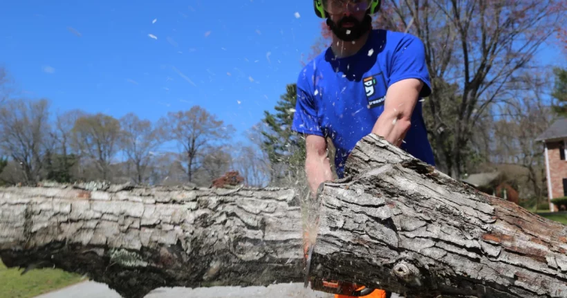 Professional arborist cutting and clearing a large tree trunk during a tree removal job