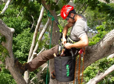 Arborist climbing a tall tree, illustrating factors a tree removal cost calculator uses to estimate price