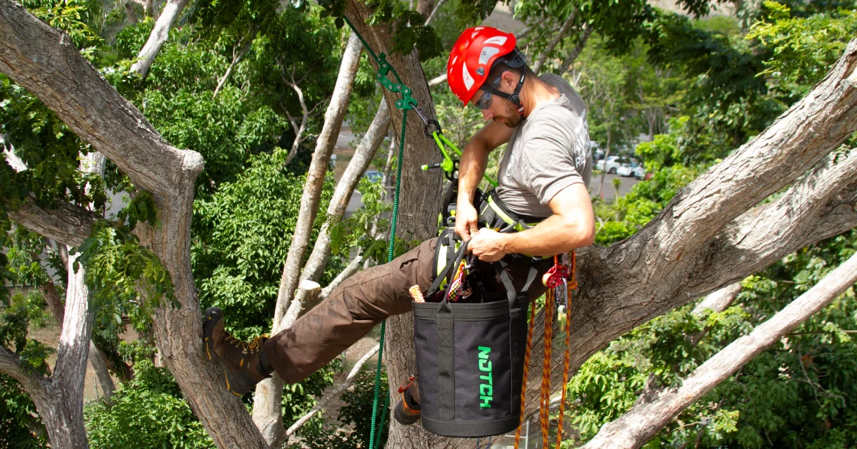 Tree Removal Cost Calculator (2026 Free Estimator)