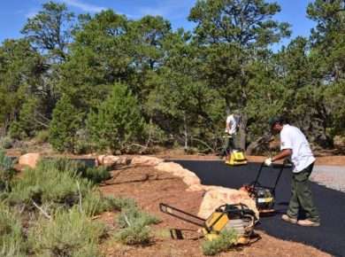 A tree service crew working together on a job