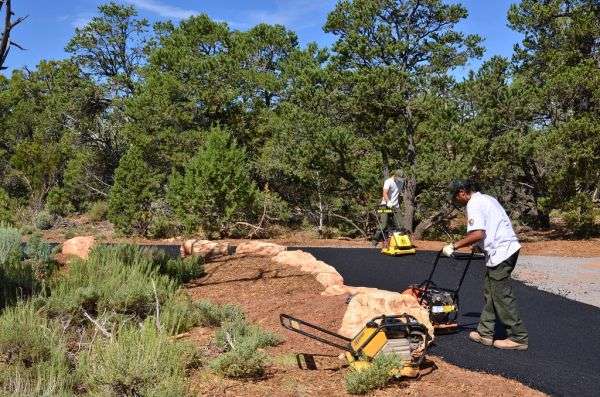 A tree service crew working together on a job