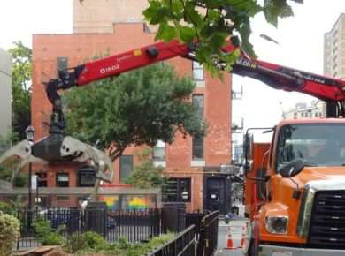 A tree stump being removed from the ground