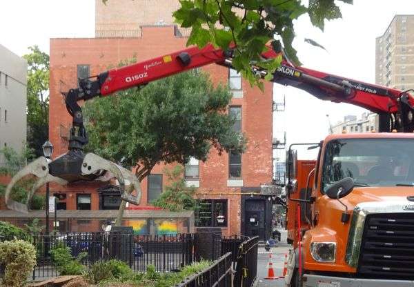 A tree stump being removed from the ground