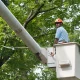 neighbor cut my tree without my permission Arborist Report Cost: 2026 Prices & What to Expect 5 Certified arborist inspecting a tree to prepare an arborist report