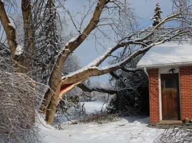 Storm-fallen tree resting on a house roof, the kind of tree damage documented for an insurance claim