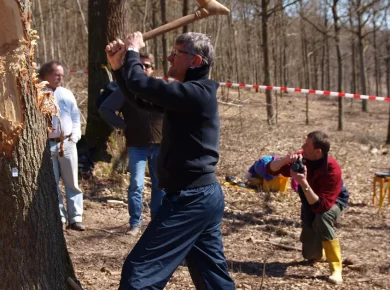 An arborist removing a tree from a residential property, a cost that may be tax deductible for rentals