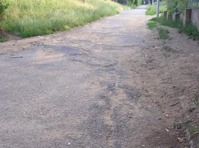 neighbor cut my tree without my permission Tree Roots Under Driveway: Repair, Cost & Prevention 10 Large tree roots lifting and cracking a paved surface next to a driveway