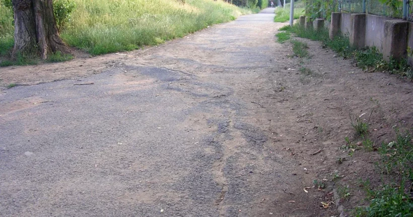neighbor cut my tree without my permission Tree Roots Under Driveway: Repair, Cost & Prevention 1 Large tree roots lifting and cracking a paved surface next to a driveway